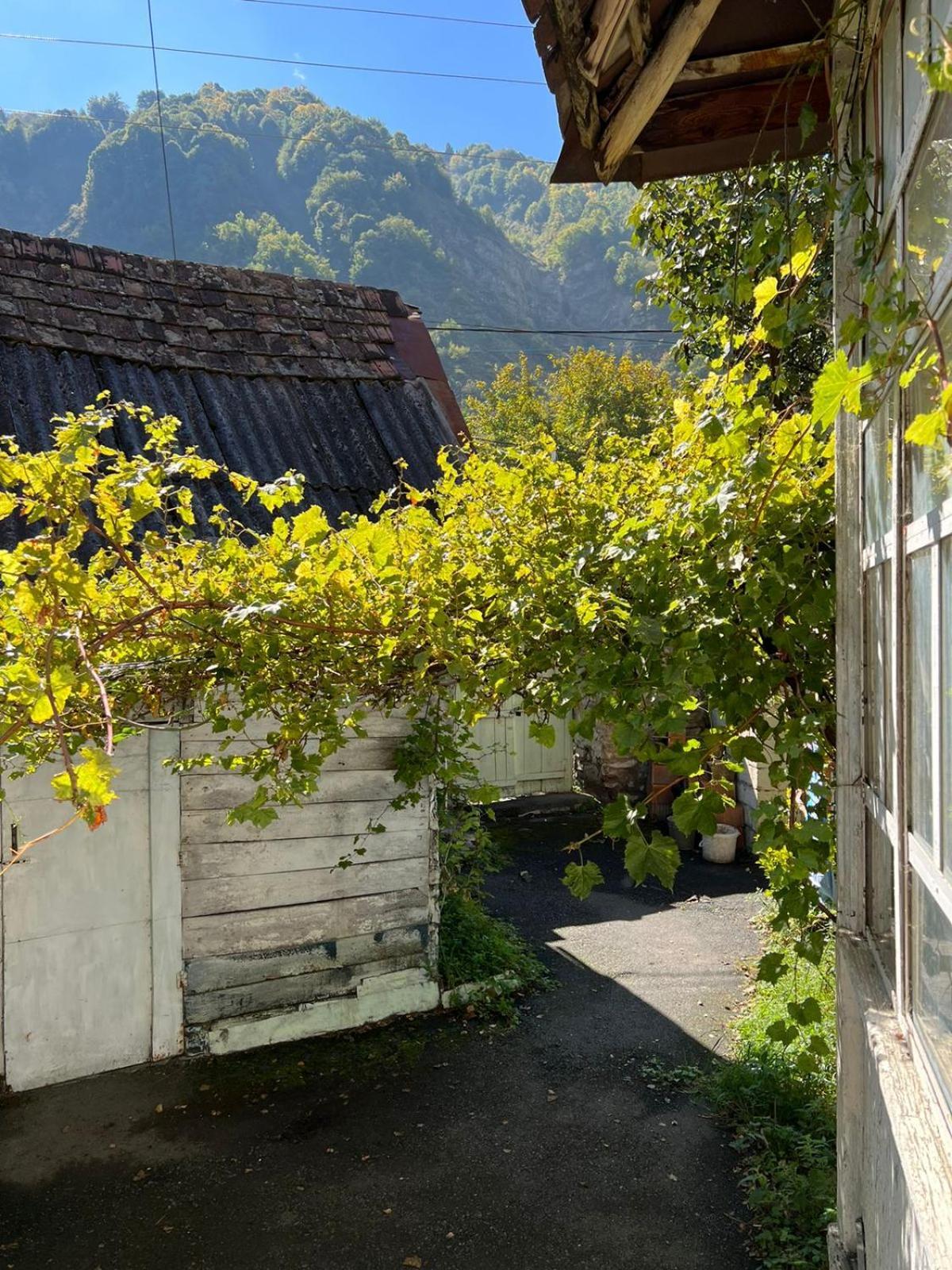 Guesthouse Ilisu Kah Dış mekan fotoğraf